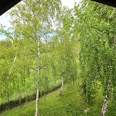 Hof Am 